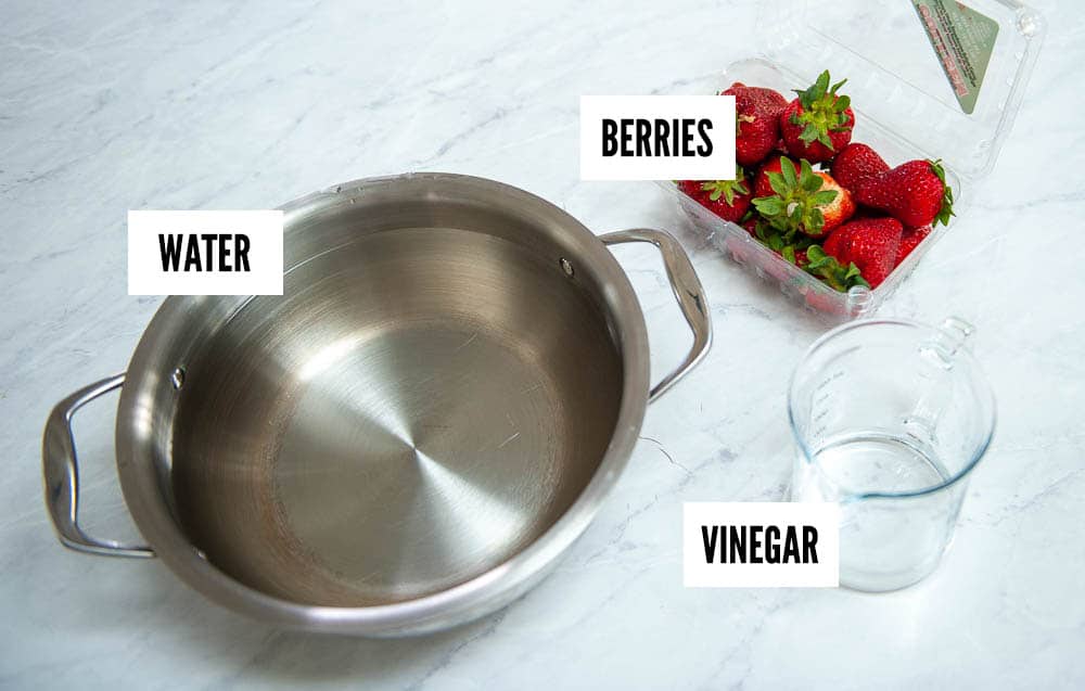 ingredients for berry wash