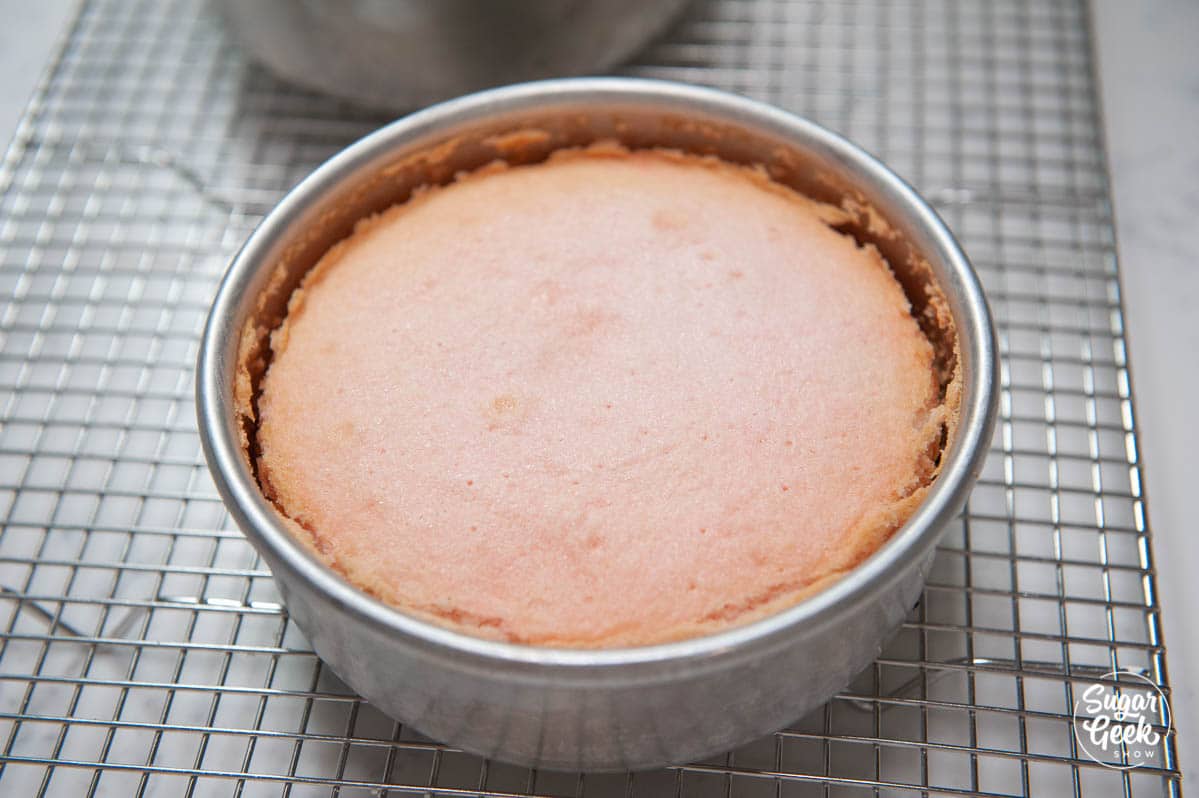 pink champagne cake in a cake pan