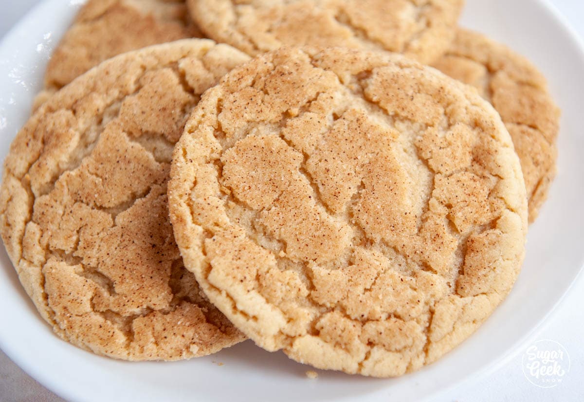 snickerdoodle cookie closeup