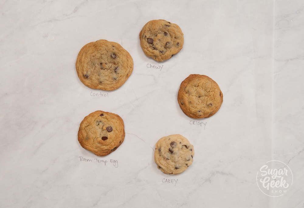 chocolate chip cookie tests on a white background shot from above