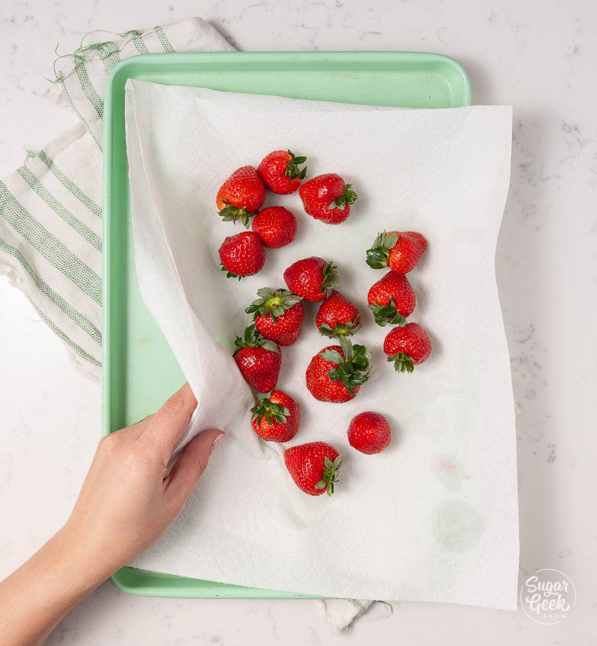 strawberries on paper towels on a green cookie sheet shot from above with a hand