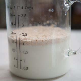 closeup of yeast foaming in milk