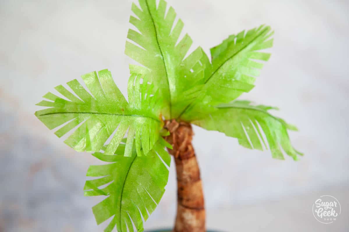 close up of modeling chocolate palm tree with wafer paper leaves