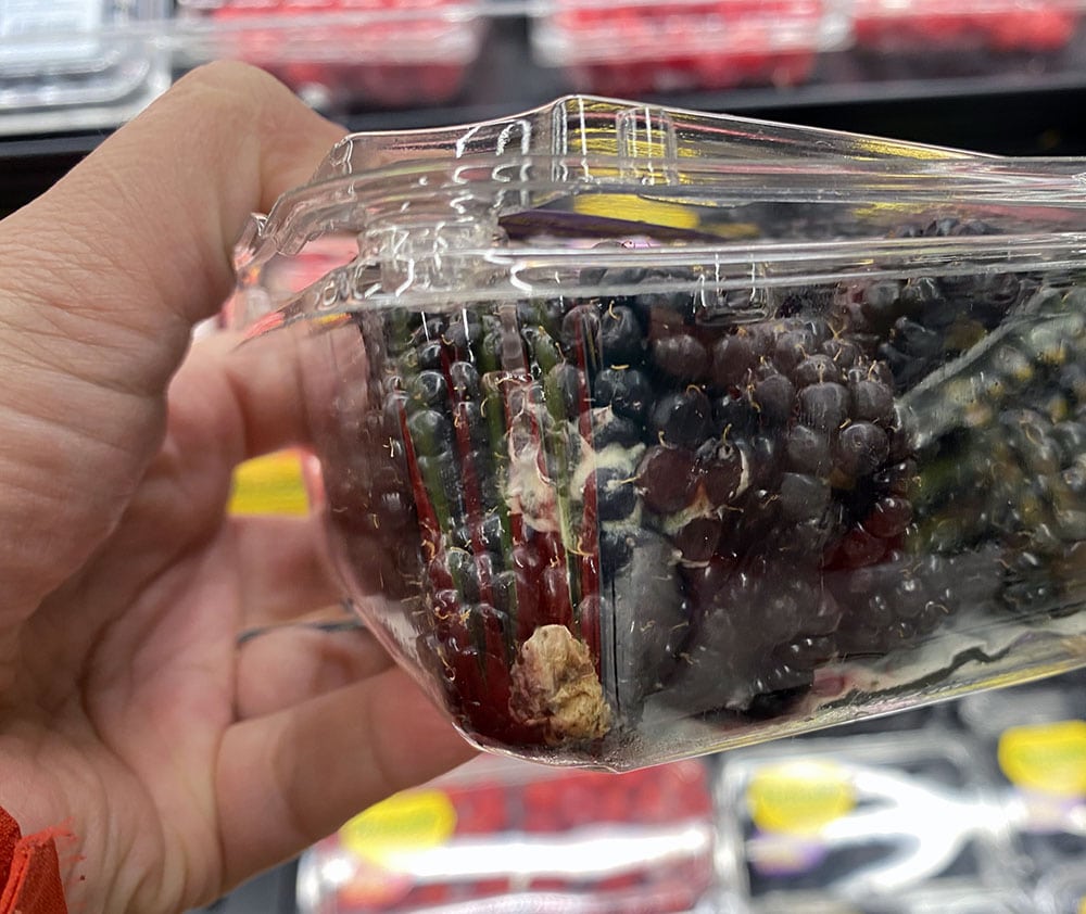 molding blackberries in plastic container