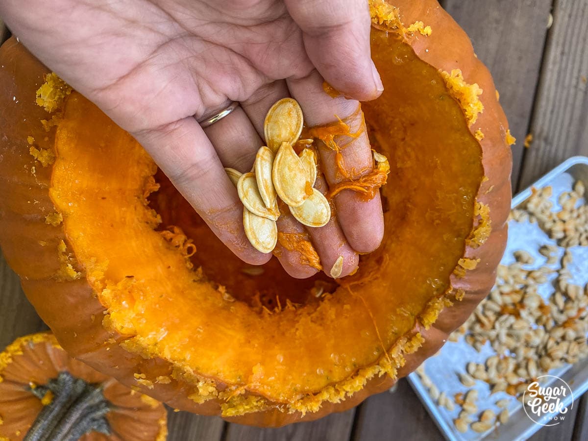 pumpkin seeds in a hand over the top of a carved pumpkin