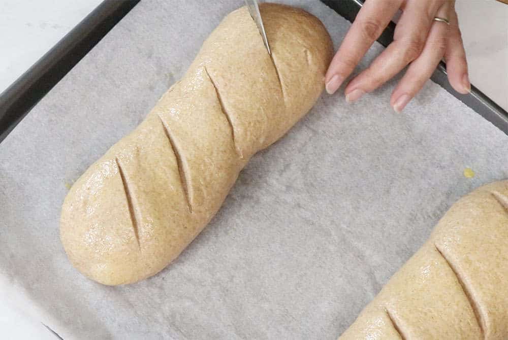 whole wheat bread loaf being egg washed and scored with a knife on a parchment lined baking sheet
