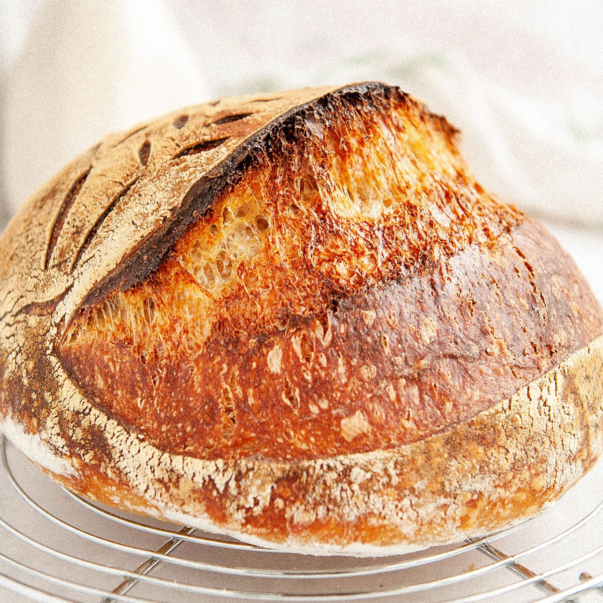 closeup of homemade sourdough bread