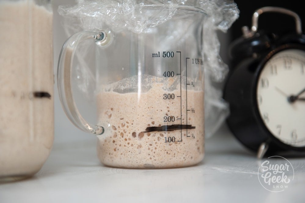 sourdough starter on countertop in clear jar