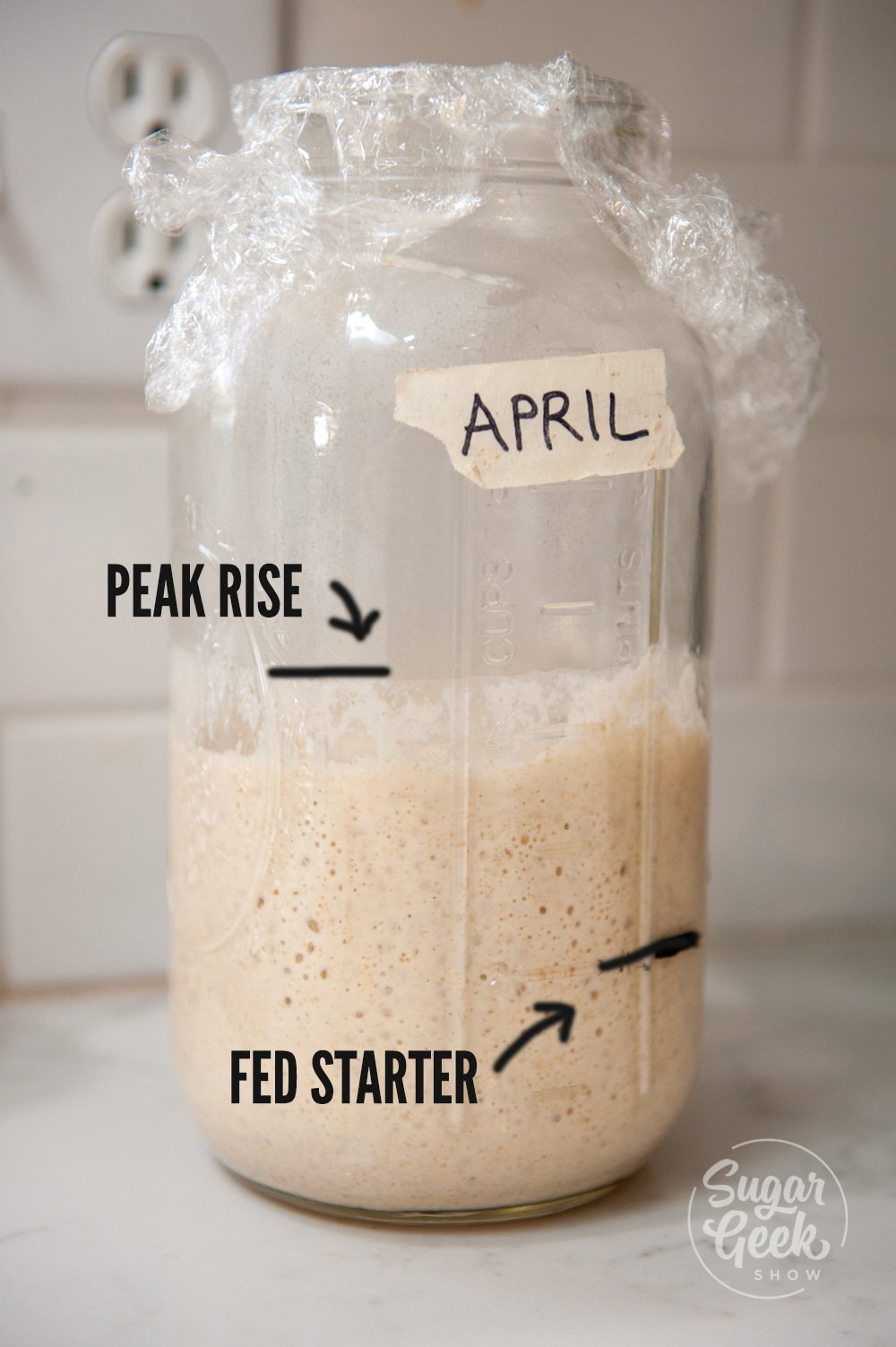 jar of sourdough starter with lines drawn on front to indicate peak rise