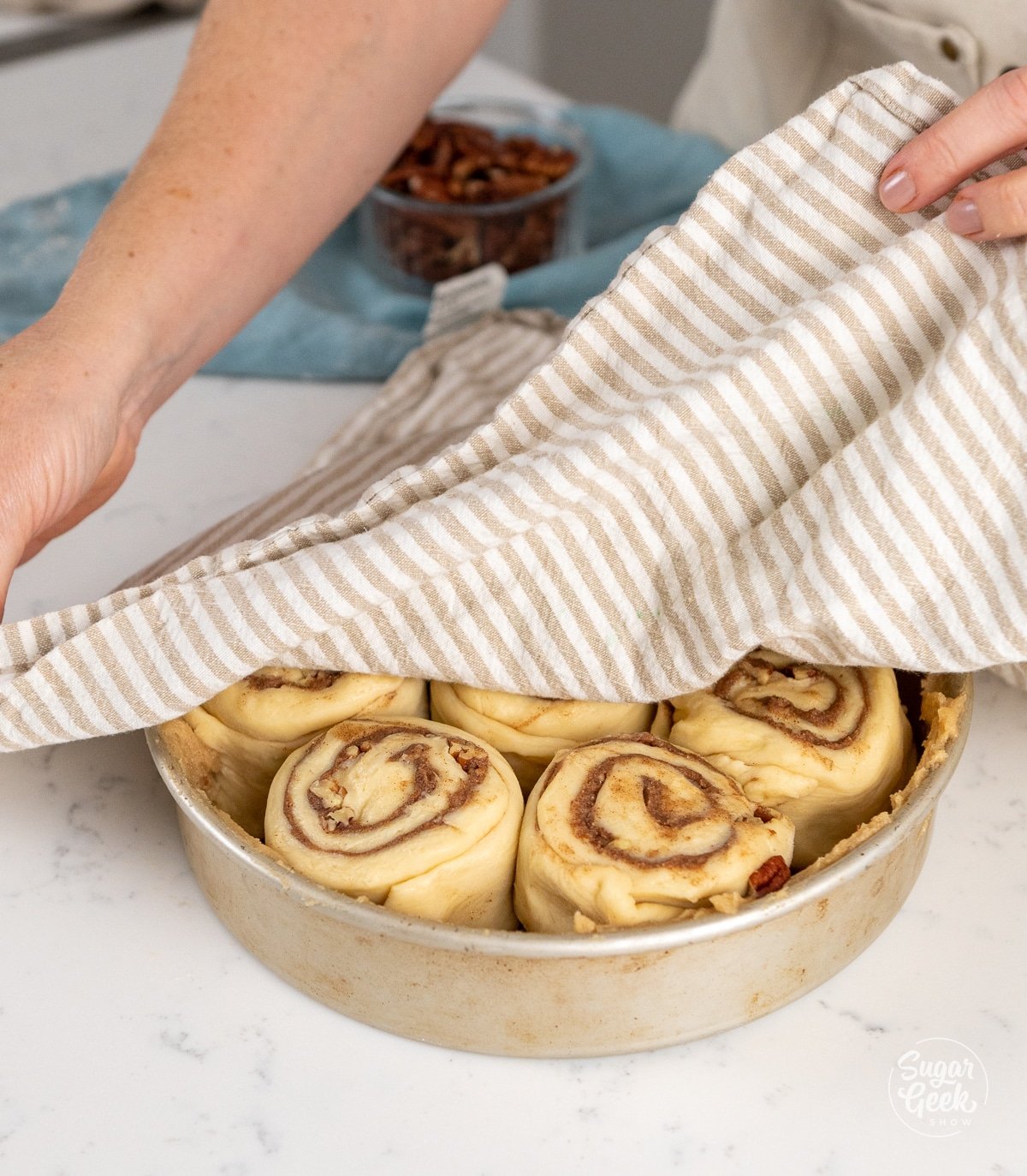 covering unbaked sticky buns in a cake pan with a tea towel