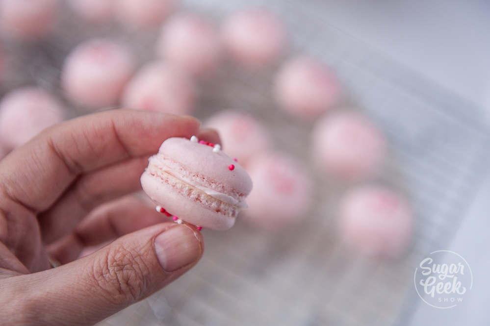 strawberry macaron held in the hand with macarons blurry in the background