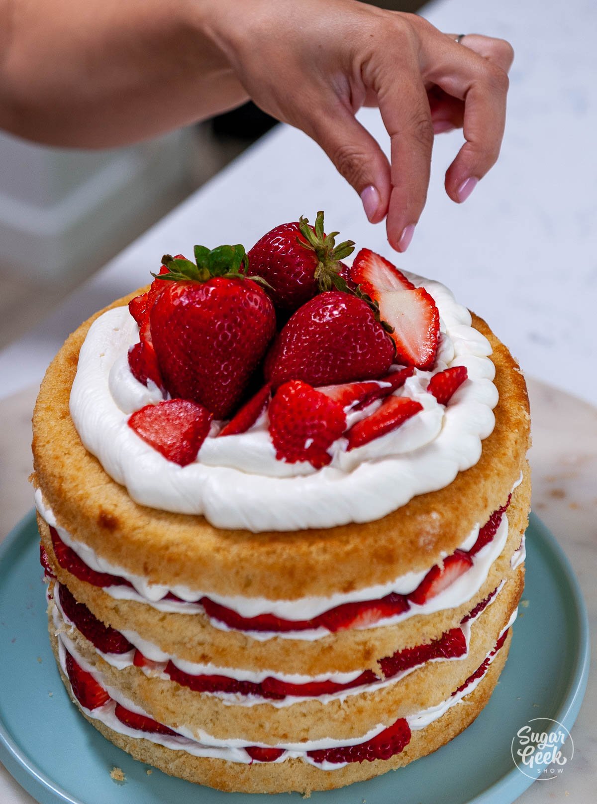 adding strawberries to the top of strawberry shortcake